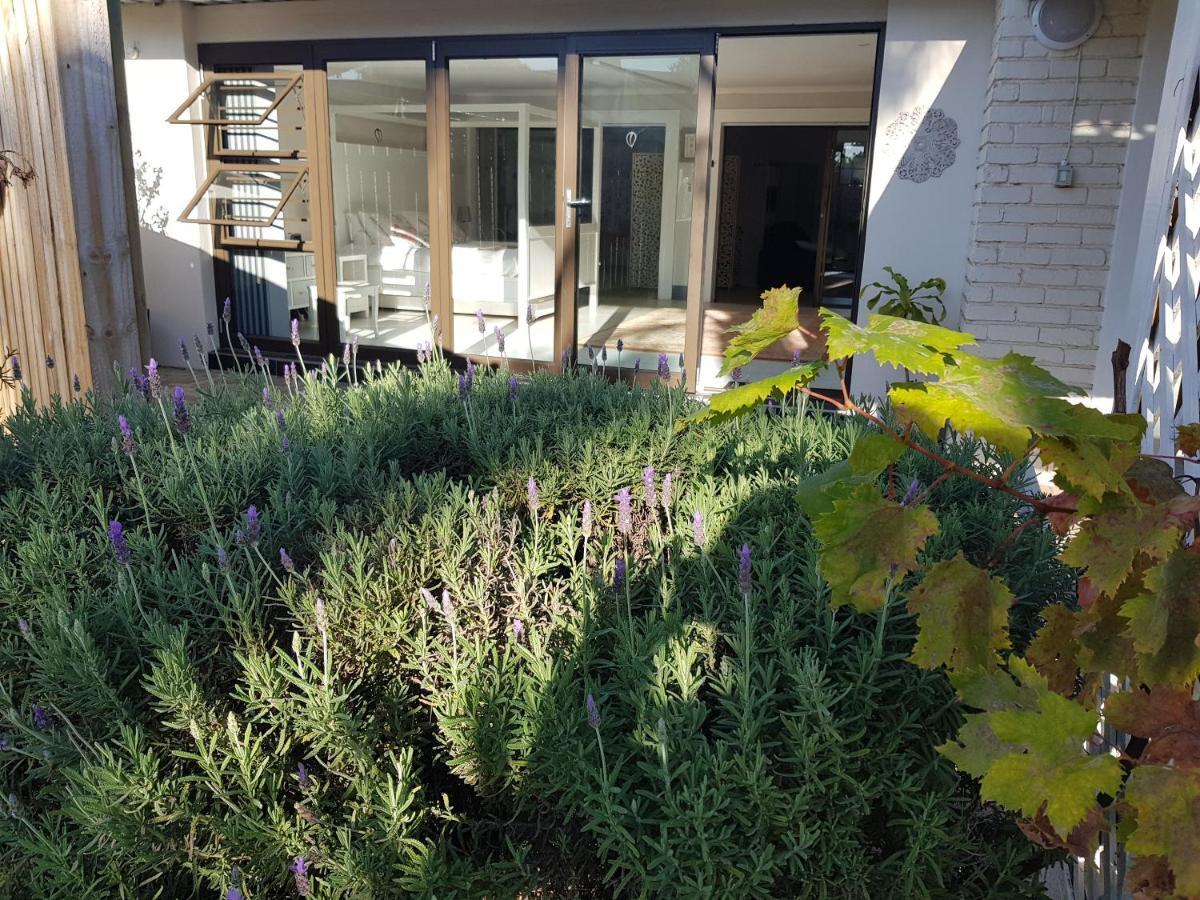 Spacious Garden Unit On Fordyce 伊丽莎白港 外观 照片